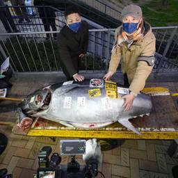 Рыбный рынок Японии хотят подбодрить новогодним тунцом