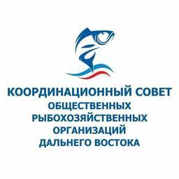 Координационный совет просит Совет Федерации не принимать поспешных решений