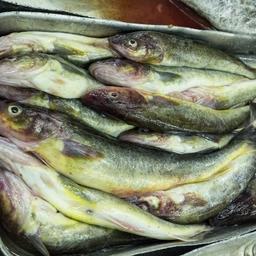 Перечень рыбных экспортеров в Корею изменится к Новому году